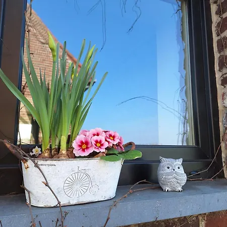 Le Repaire Des Loups *