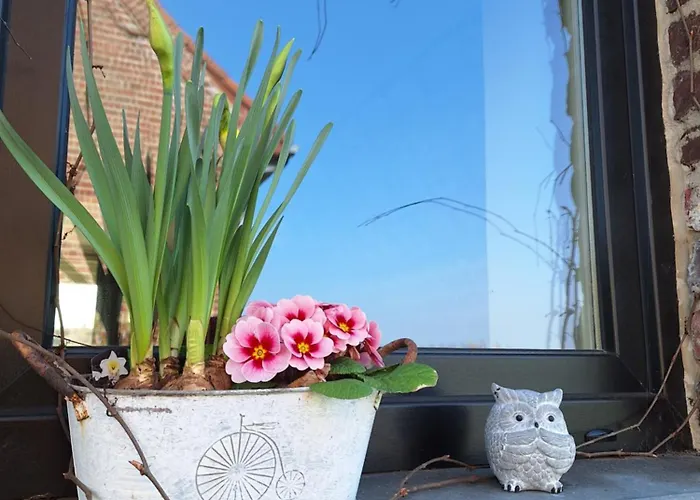 Le Repaire Des Loups *